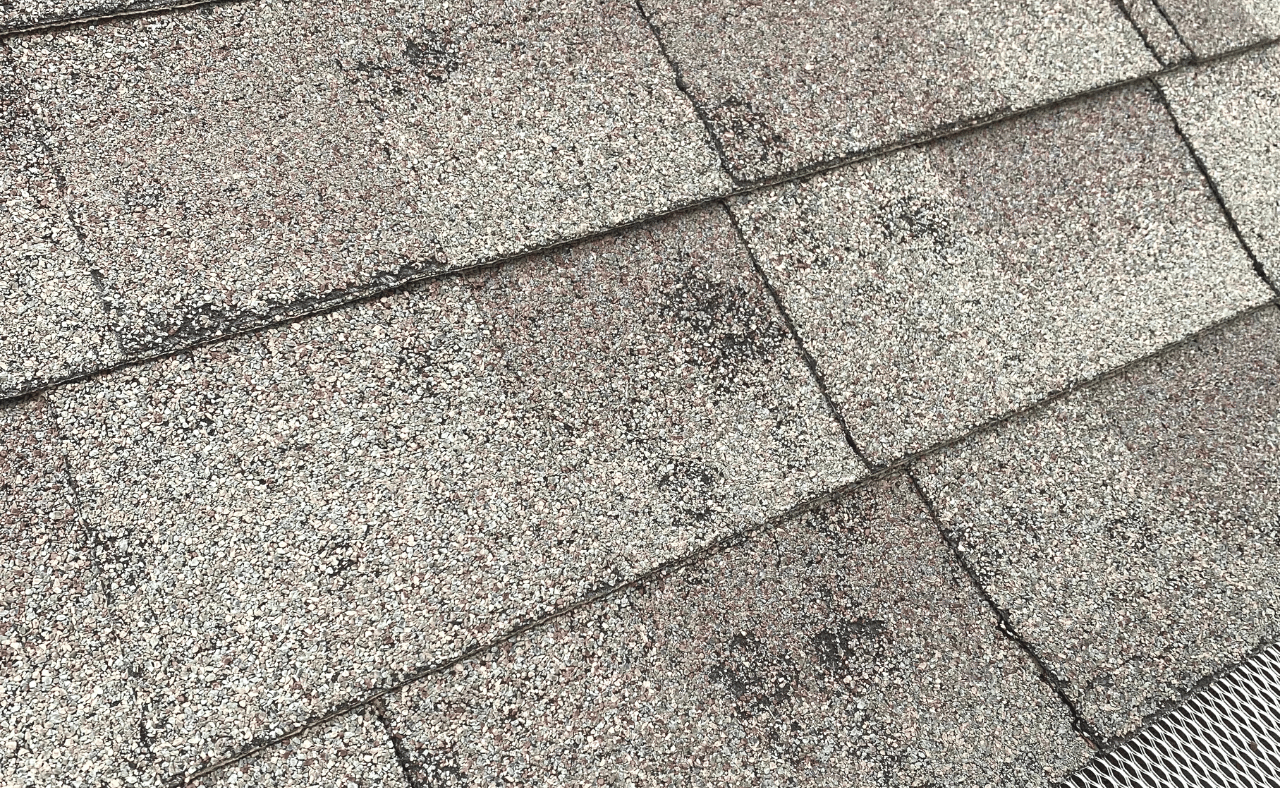 Granule Loss on Shingles Gunner Roof (1280 × 720 px) Suburbs 101