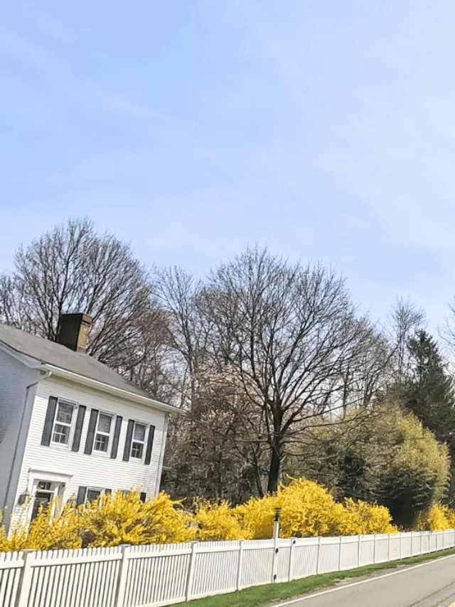 10 Most Affordable Towns in Northern New Jersey Suburbs 101