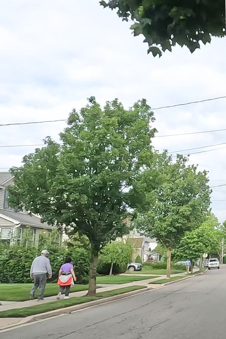 14 Best New Jersey Commuter Towns to NYC 2024 Suburbs 101