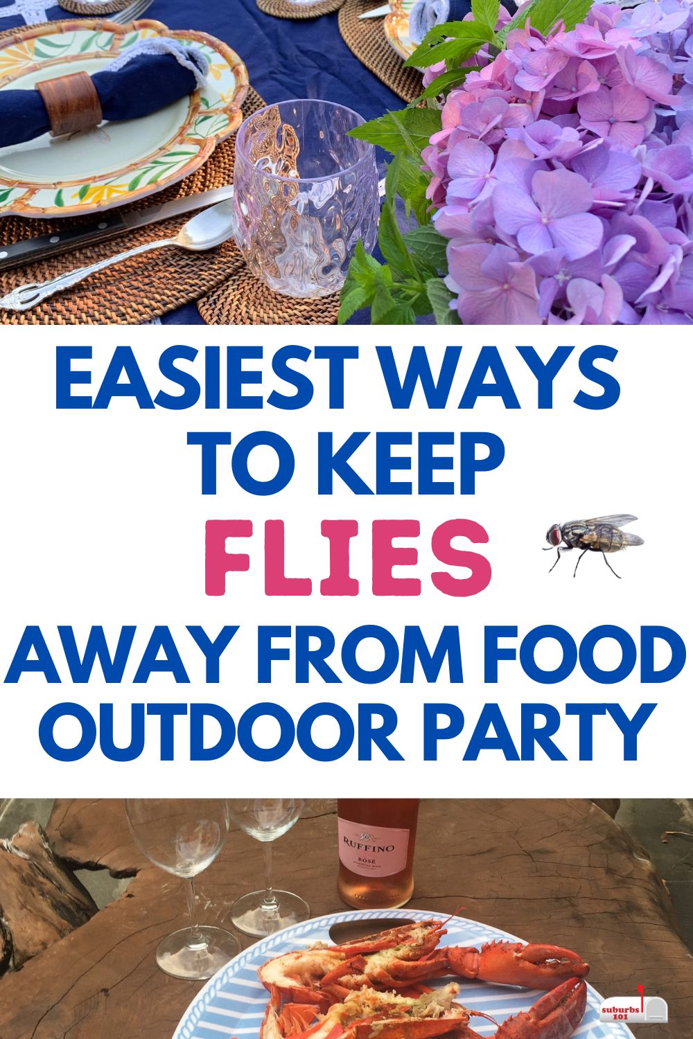 How to Keep Flies Off Food at Your Outdoor Party - Suburbs 101