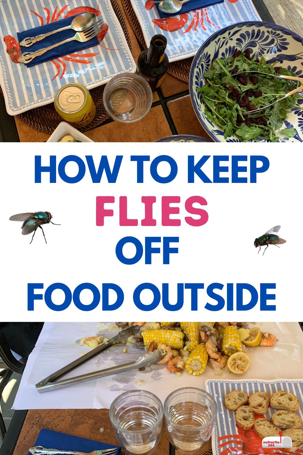 How to Keep Flies Off Food at Your Outdoor Party - Suburbs 101