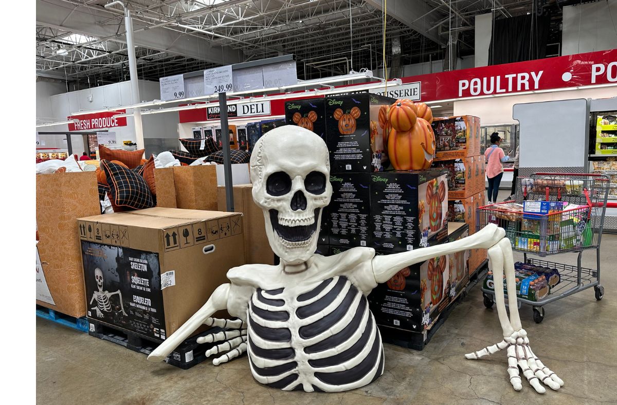 Costco Halloween- Giant Skeleton