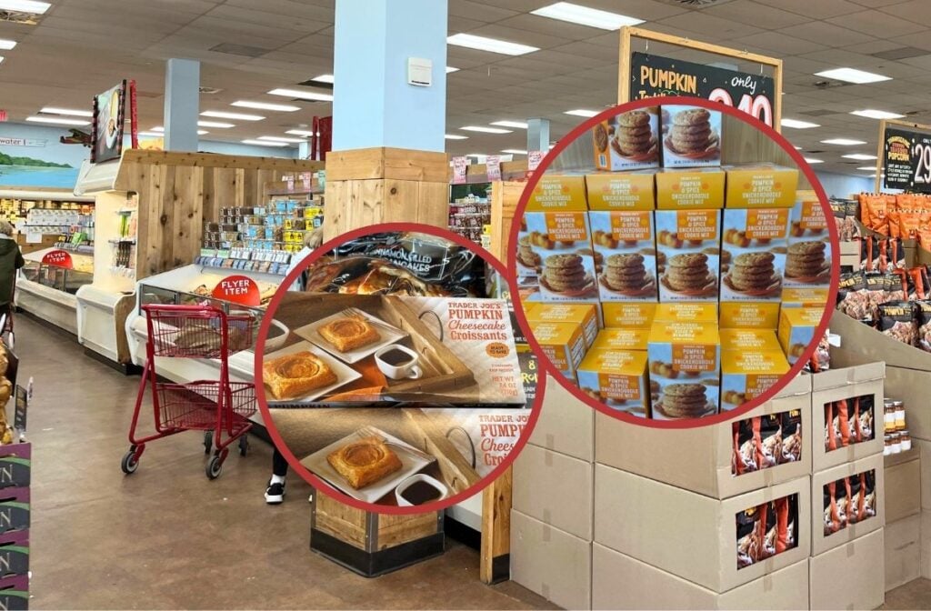 trader joe's pumpkin items